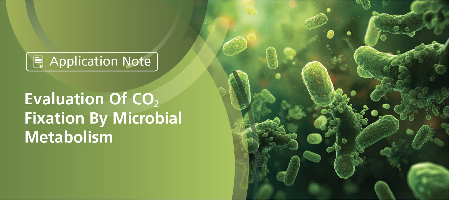 Evaluation Of CO2 Fixation By Microbial Metabolism