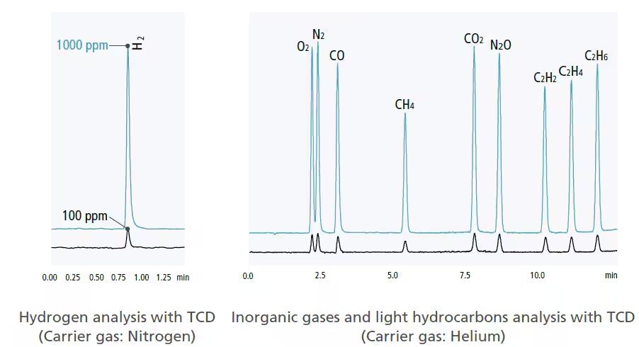 Analysis Using GI-30 Auto Gas Sampler