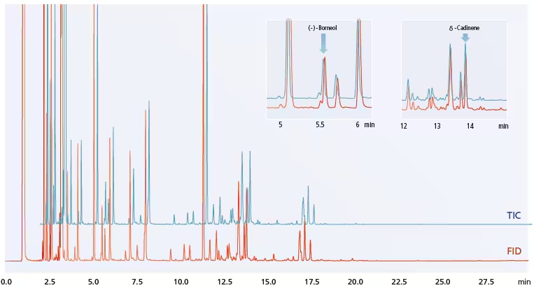 Fig. 6 Cypress Oil (Shimadzu) FID and TIC Chromatograms