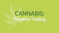 Cannabis Terpenes Testing