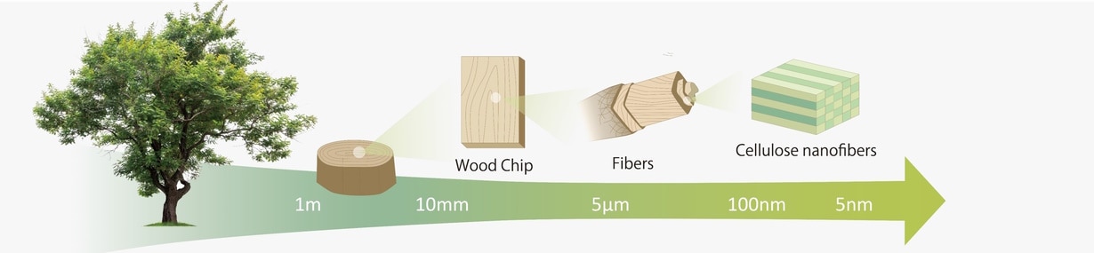 Cellulose nanofibers