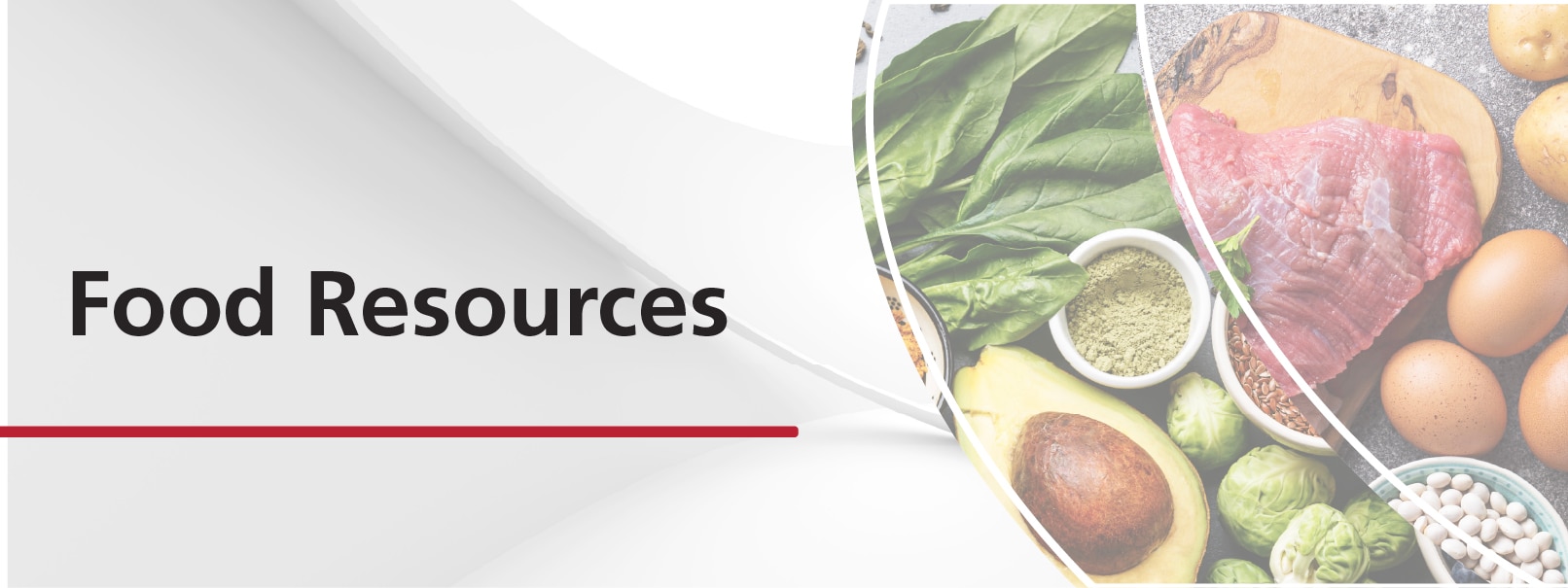 Shimadzu Food Resources