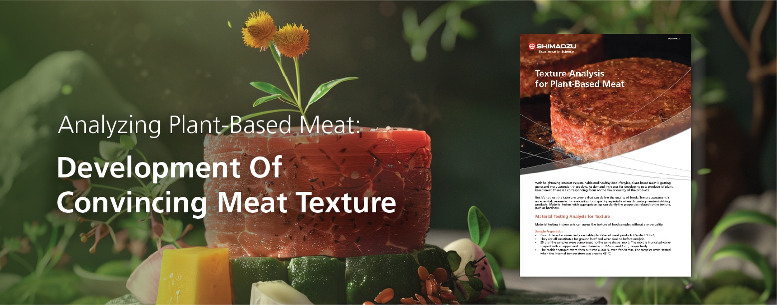 Analyzing Plant-Based Meat: Development of Convincing Meat Texture