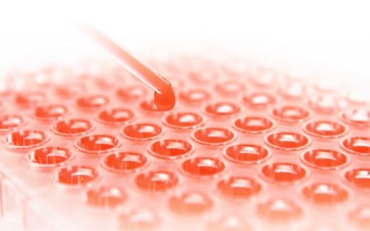 QuEChERS Sample Pretreatment and LC/MS/MS Method for Food 