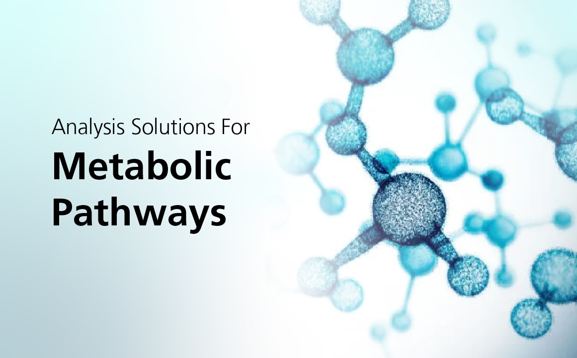 Analysis Solutions For Metabolic Pathways