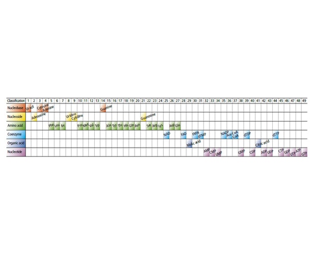 Simultaneous Monitoring of a Variety of Hydrophilic Metabolic Components